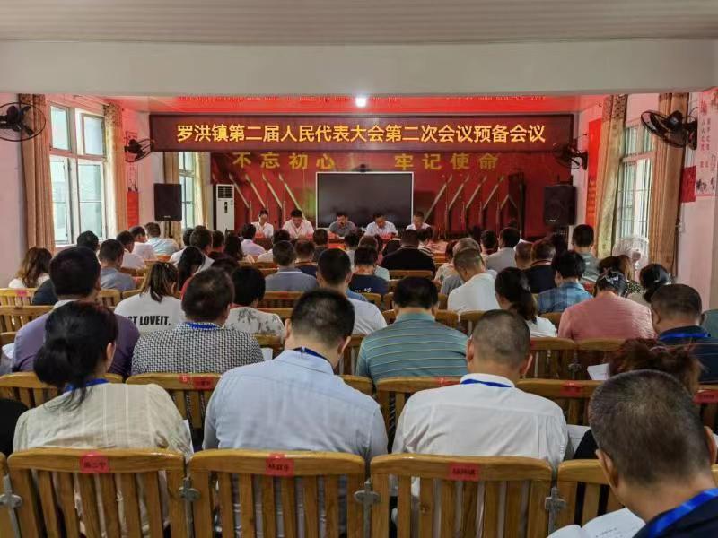 罗洪镇召开第二届人民代表大会第二次会议_邵商网